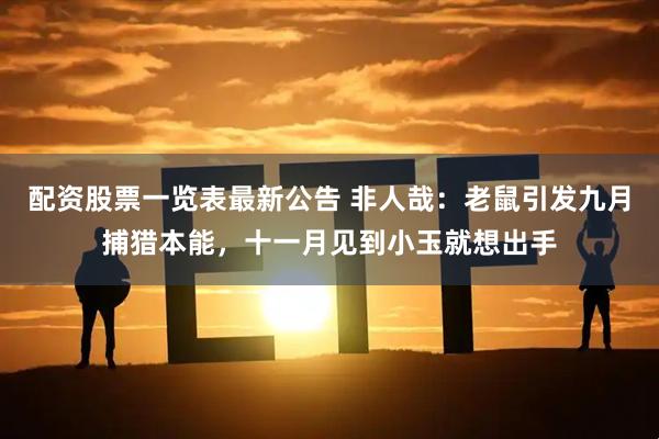 配资股票一览表最新公告 非人哉：老鼠引发九月捕猎本能，十一月见到小玉就想出手