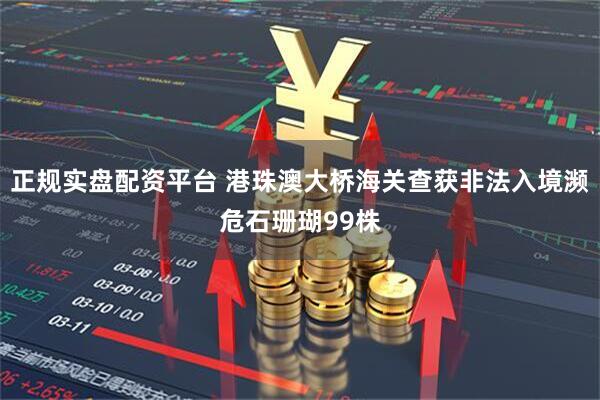 正规实盘配资平台 港珠澳大桥海关查获非法入境濒危石珊瑚99株
