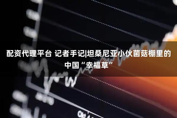 配资代理平台 记者手记|坦桑尼亚小伙菌菇棚里的中国“幸福草”