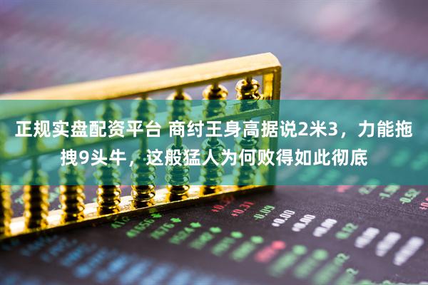 正规实盘配资平台 商纣王身高据说2米3，力能拖拽9头牛，这般猛人为何败得如此彻底